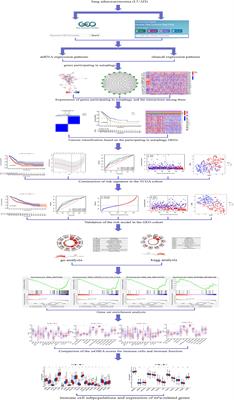 Development and Validation of a Prognostic Index Based on Genes Participating in Autophagy in Patients With Lung Adenocarcinoma